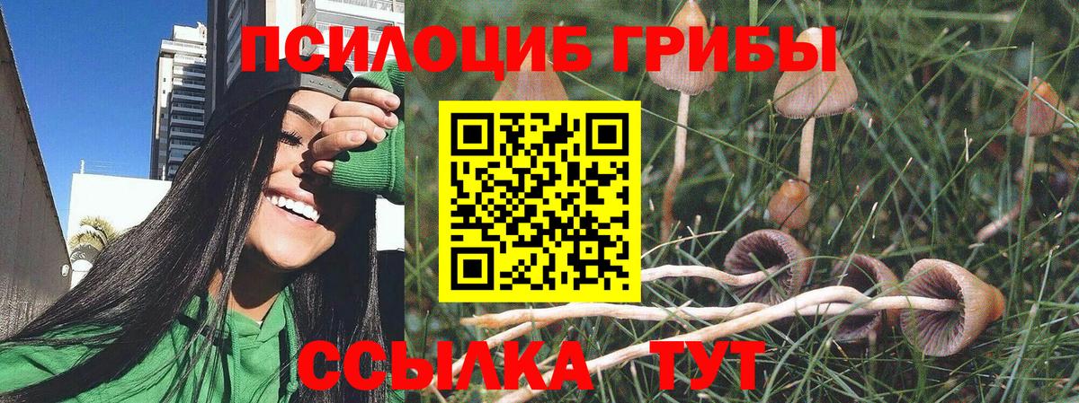 Галлюциногенные грибы Psilocybe  Вход с VPN  Галлюциногенные грибы мицелий  Ижевск 